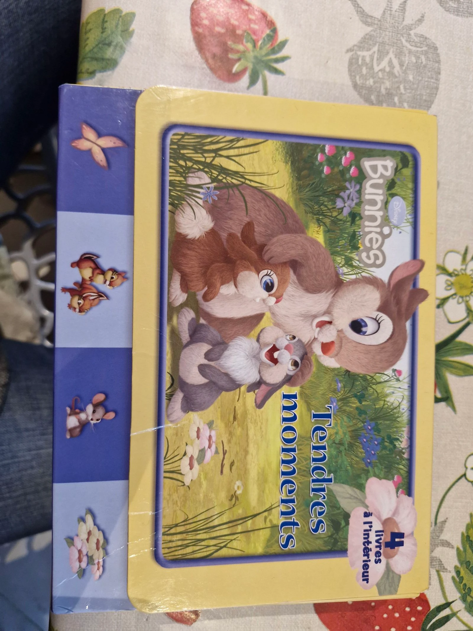 Lit de 4 livres avec valisette bunnies